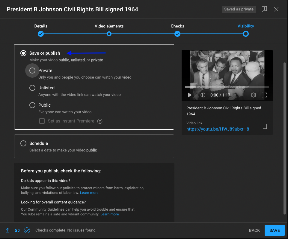 An image of the YouTube window where you can select the videos publish settings.