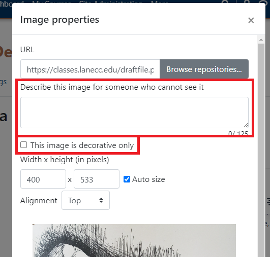 Alt text field when adding an image and mark as decorative check box below it.