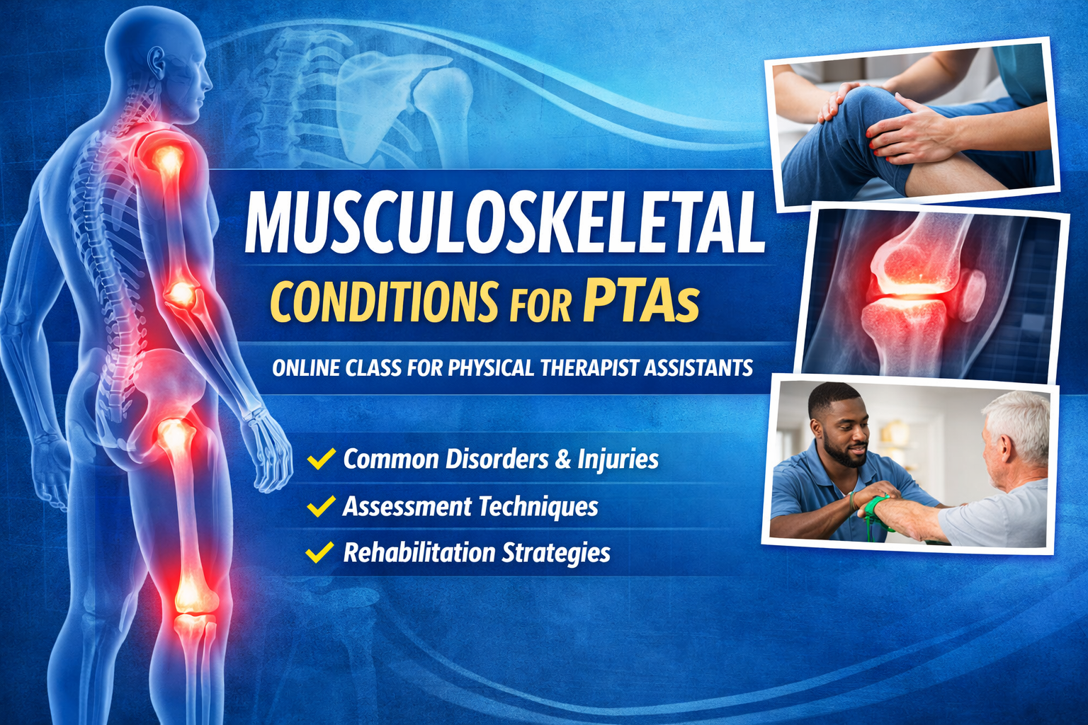 PTA course graphic with highlighted joints, key topics, and images of knee assessment and a provider assisting a patient.
